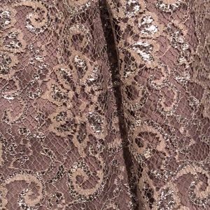 JCrew Silver and Nude Lace Skirt